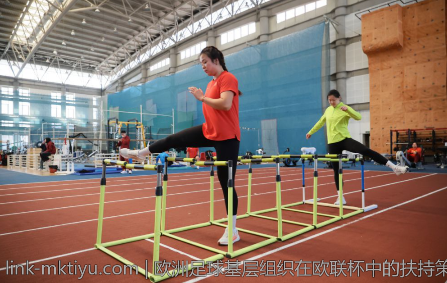 欧洲足球基层组织在欧联杯中的扶持策略
