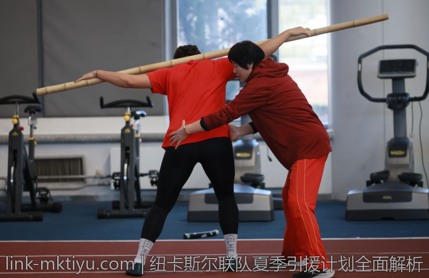 纽卡斯尔联队夏季引援计划全面解析