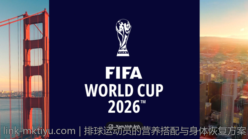 排球运动员的营养搭配与身体恢复方案