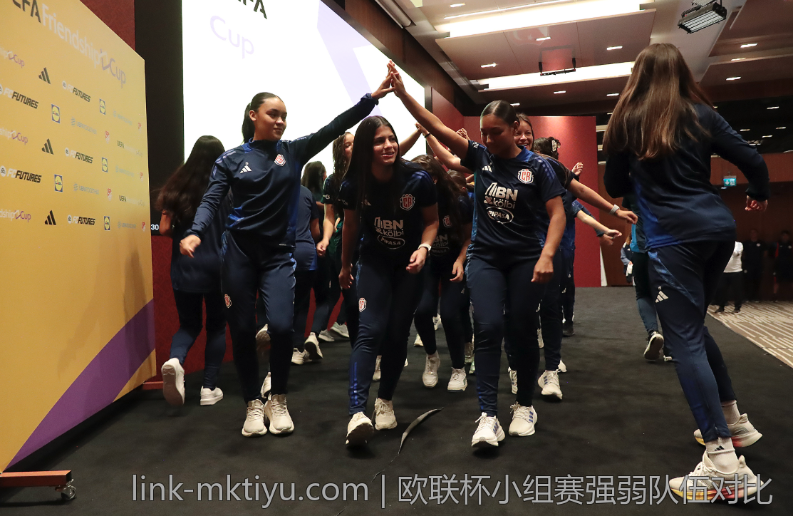 欧联杯小组赛强弱队伍对比
